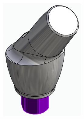 BIONIKA BIOPLANT, Anatómiai fej, ferde, 35°, pozicionált, A-típus