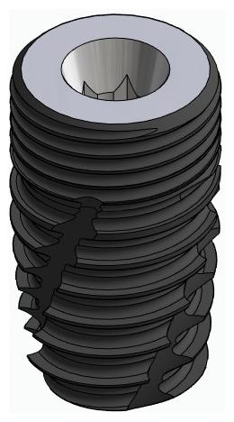 BIONIKA CORTICAL, Implantátum