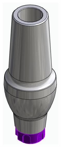 BIONIKA C1, Anatómiai fej, egyenes, pozicionált