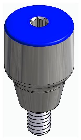 ACTIVAL, Ínyformázó fej, anatómiai