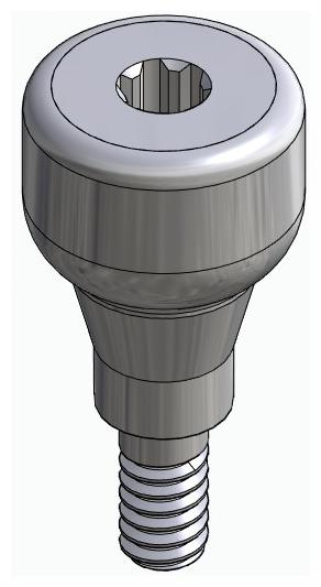 BONELIT, Ínyformázó fej, anatómiai