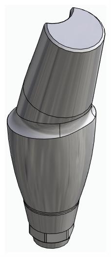 DENTUM, Anatómiai fej, ferde, 15°, pozicionált, B-típus