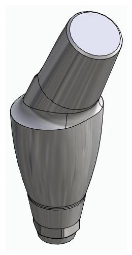 DENTUM, Anatómiai fej, ferde, 25°, pozicionált, A-típus