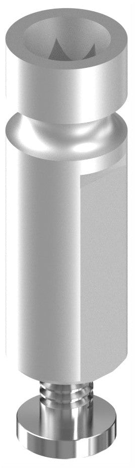 BIONIKA ECOPLANT, Technikai implantátum, digitális scanneléshez