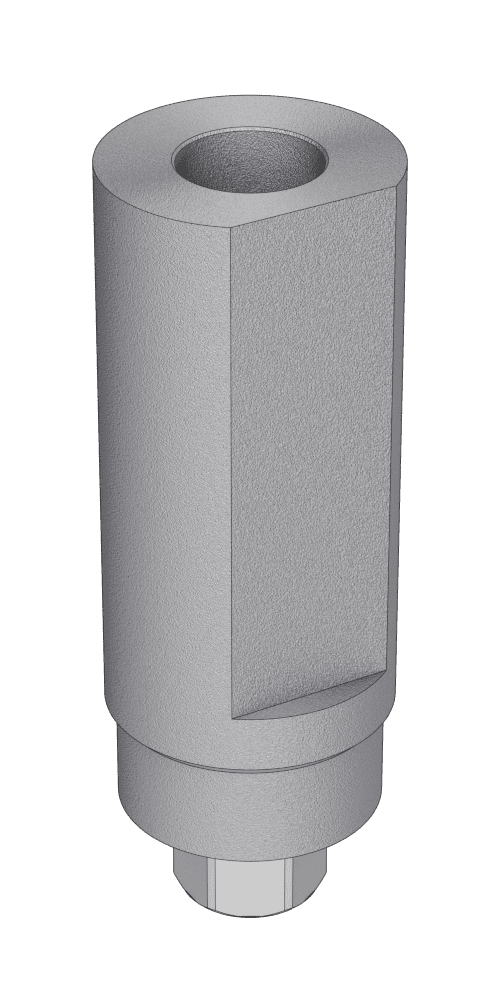 BioHorizons® (BH) UNIFORM Scanbody fej átmenőcsavaros, pozicionált