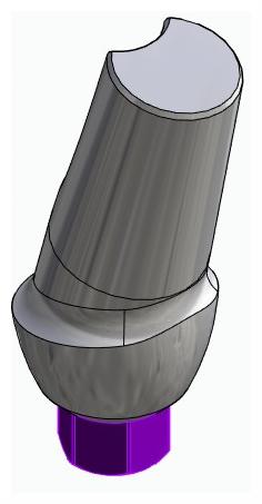 BIONIKA BIOLEVEL, Anatómiai fej, ferde, 15°, pozicionált, A-típus