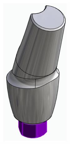 BIONIKA BIOLEVEL, Anatómiai fej, ferde, 15°, pozicionált, A-típus