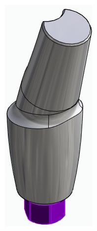 BIONIKA BIOLEVEL, Anatómiai fej, ferde, 15°, pozicionált, A-típus