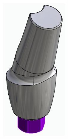 BIONIKA BIOLEVEL, Anatómiai fej, ferde, 15°, pozicionált, B-típus