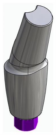 BIONIKA BIOLEVEL, Anatómiai fej, ferde, 15°, pozicionált, B-típus