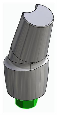 BIONIKA BIOLEVEL, Anatómiai fej, ferde, 15°, pozicionált, B-típus