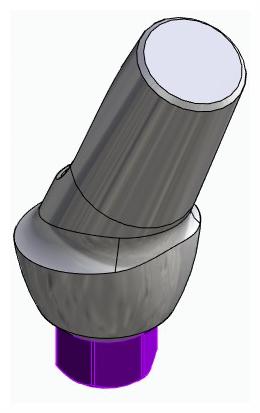 BIONIKA BIOLEVEL, Anatómiai fej, ferde, 25°, pozicionált, B-típus