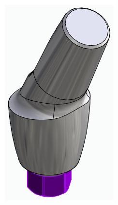 BIONIKA BIOLEVEL, Anatómiai fej, ferde, 25°, pozicionált, B-típus
