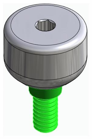 BIONIKA BIOLEVEL, Ínyformázó fej, anatómiai