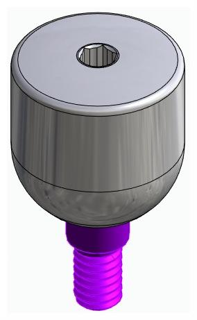 BIONIKA BIOLEVEL, Ínyformázó fej, anatómiai