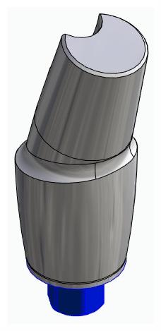 BIONIKA BIOPLANT, Anatómiai fej, ferde, 15°, pozicionált, A-típus