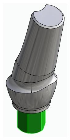 BIONIKA BIOPLANT, Anatómiai fej, ferde, 15°, pozicionált, B-típus