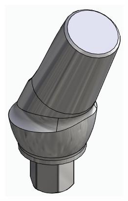 BIONIKA BIOPLANT, Anatómiai fej, ferde, 25°, pozicionált, A-típus