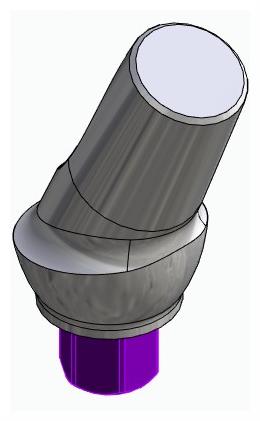 BIONIKA BIOPLANT, Anatómiai fej, ferde, 25°, pozicionált, A-típus