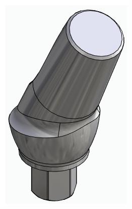 BIONIKA BIOPLANT, Anatómiai fej, ferde, 25°, pozicionált, B-típus