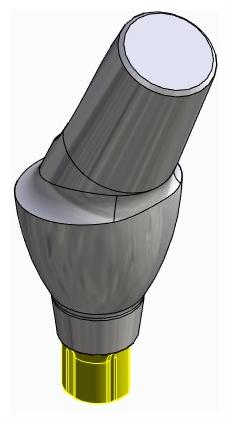 CORTILOG CCL, Anatómiai fej, ferde, 25°, pozicionált, B-típus