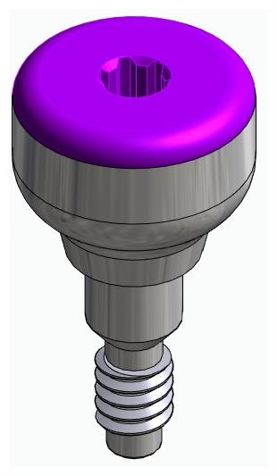 ACTIVAL, Ínyformázó fej, anatómiai