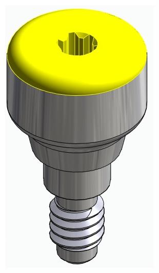 ACTIVAL, Ínyformázó fej, anatómiai