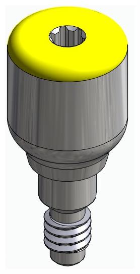 ACTIVAL, Ínyformázó fej, anatómiai