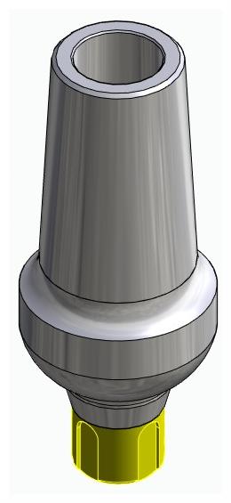 BONELIT, Anatómiai fej, egyenes, pozicionált