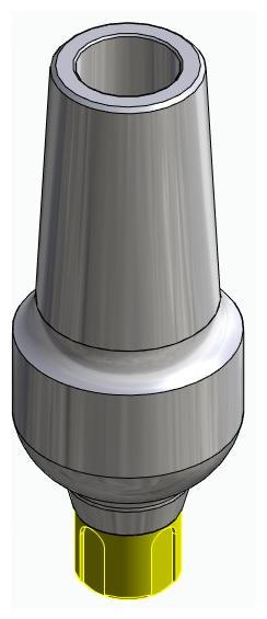 BONELIT, Anatómiai fej, egyenes, pozicionált