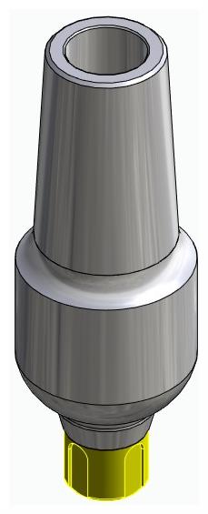 BONELIT, Anatómiai fej, egyenes, pozicionált