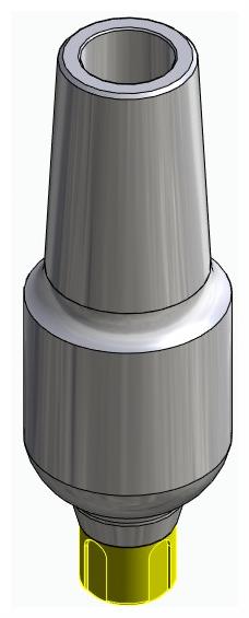 BONELIT, Anatómiai fej, egyenes, pozicionált