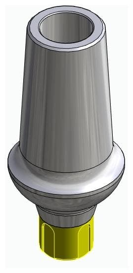 BONELIT, Anatómiai fej, egyenes, pozicionált