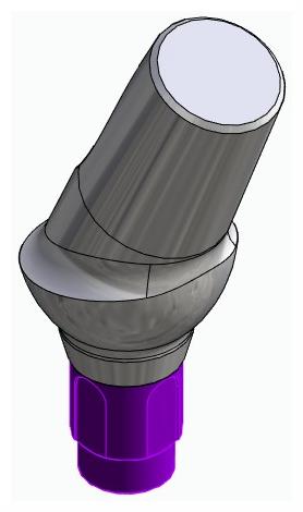 BONELIT, Anatómiai fej, ferde, 25°, pozicionált, A-típus