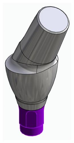 BONELIT, Anatómiai fej, ferde, 25°, pozicionált, B-típus
