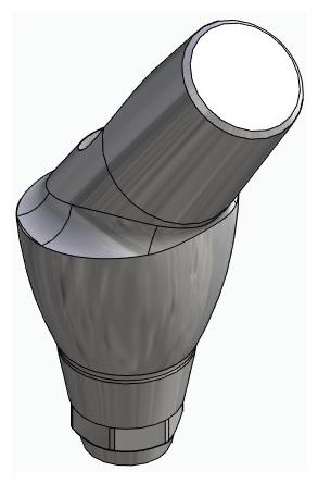 DENTUM, Anatómiai fej, ferde, 35°, pozicionált, B-típus