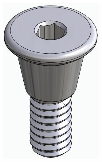 DENTUM, Ínyformázó fej, anatómiai
