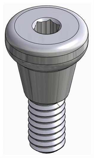 DENTUM, Ínyformázó fej, anatómiai