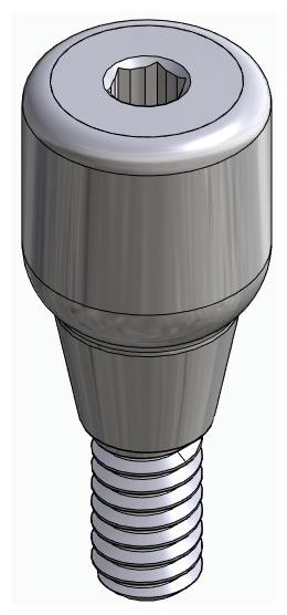 DENTUM, Ínyformázó fej, anatómiai