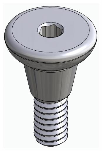 DENTUM, Ínyformázó fej, anatómiai
