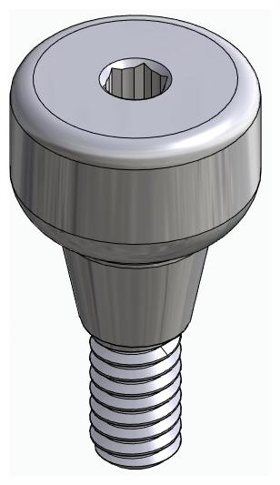 DENTUM, Ínyformázó fej, anatómiai