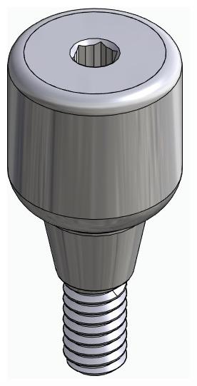 DENTUM, Ínyformázó fej, anatómiai