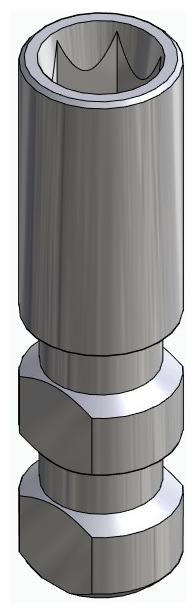 IMPLIE, Technikai implantátum