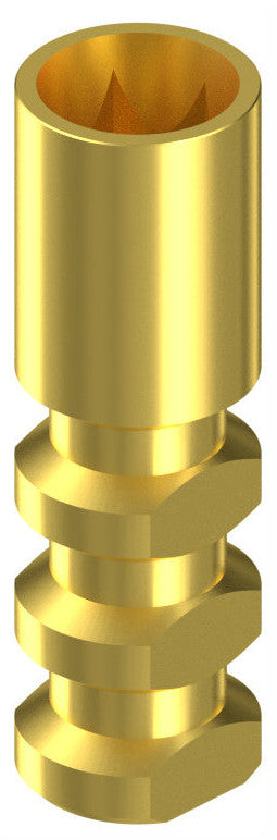 BIONIKA IMPLIE, Technikai implantátum