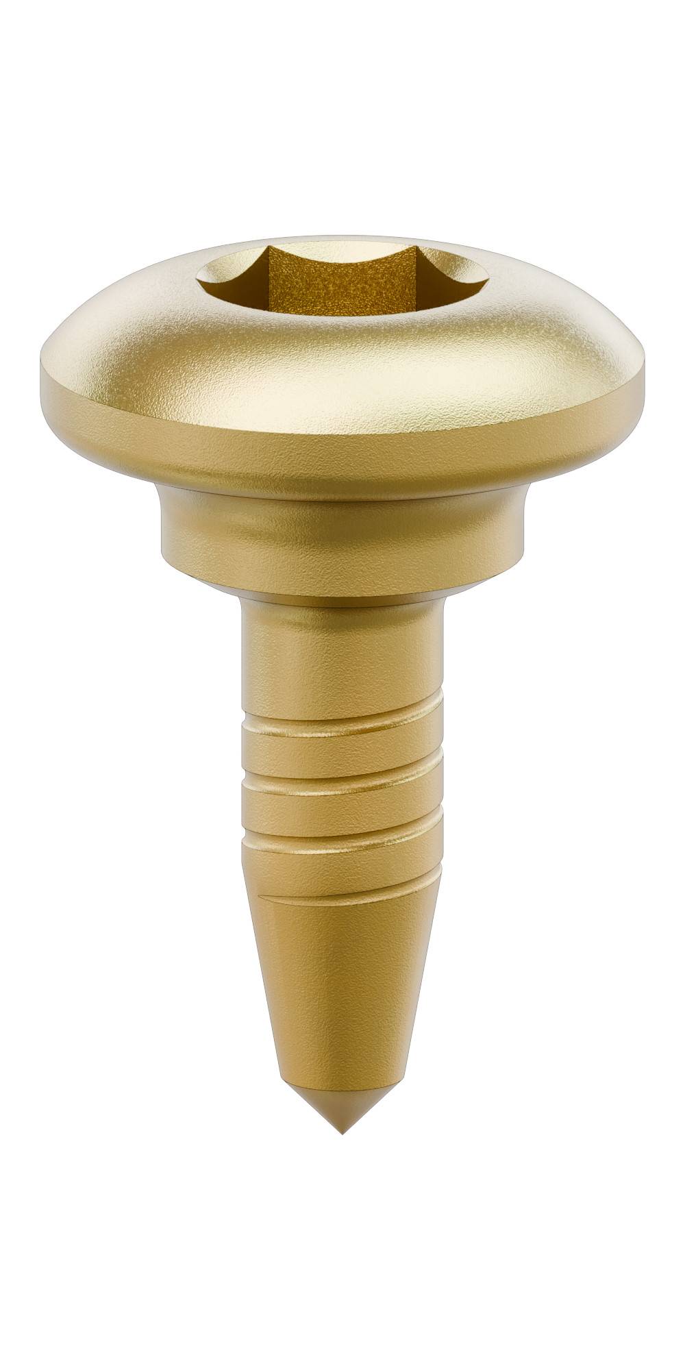 BIONIKA, Perforáltlemez-szegecs