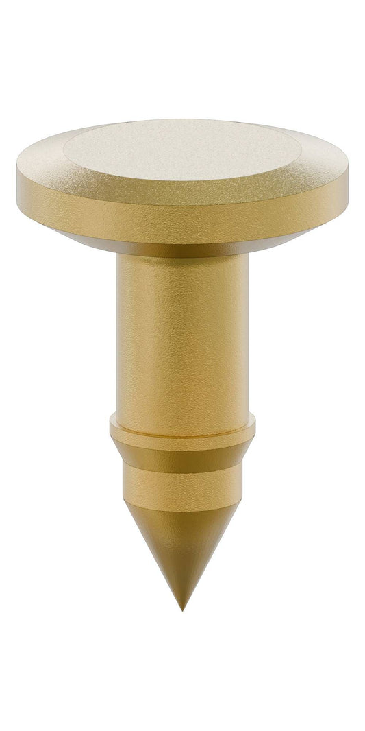 BIONIKA, Perforáltlemez-szegecs, laposfejű