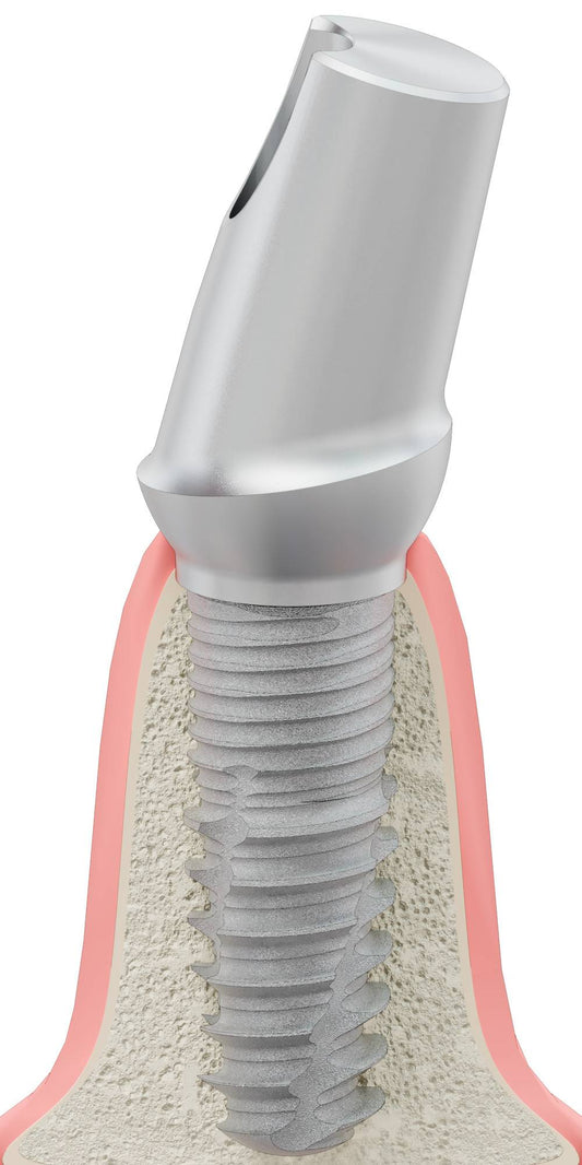 BIONIKA TH, Anatómiai fej, ferde, 15°, pozicionált, B-típus