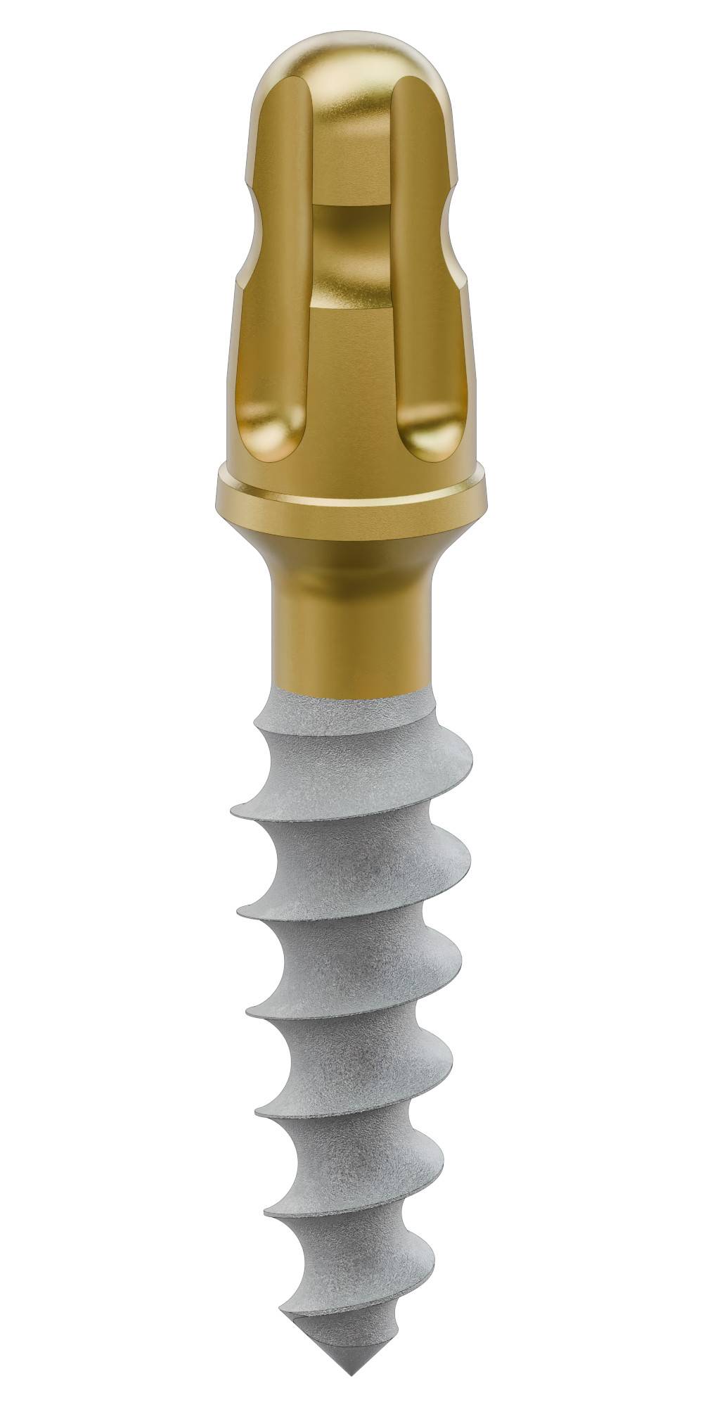 BIONIKA SLIM, Implantátum, stabile, wide
